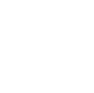 WebAuthorsGroup Logo
