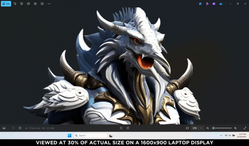 Ammut Image Perspective