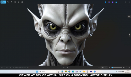 Visitors Image Perspective